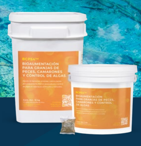 BCP54 Bioaumentación para Granjas de Peces